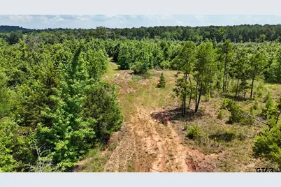 000 Avinger Cutoff Road, Avinger, TX 75630 - Photo 24