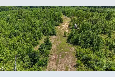 000 Avinger Cutoff Road, Avinger, TX 75630 - Photo 20