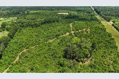 000 Avinger Cutoff Road, Avinger, TX 75630 - Photo 16