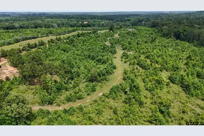000 Avinger Cutoff Road, Avinger, TX 75630 - Photo 30