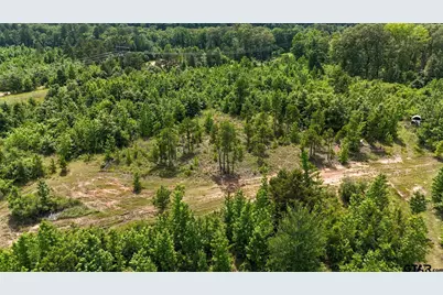 000 Avinger Cutoff Road, Avinger, TX 75630 - Photo 34