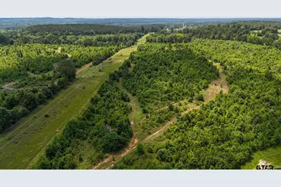 000 Avinger Cutoff Road, Avinger, TX 75630 - Photo 28