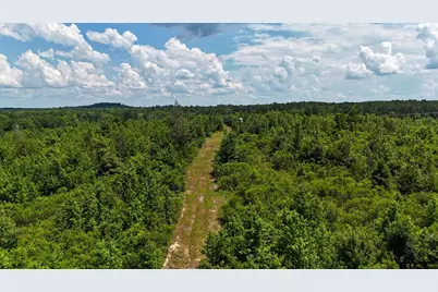 000 Avinger Cutoff Road, Avinger, TX 75630 - Photo 18