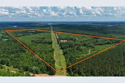 000 Avinger Cutoff Road, Avinger, TX 75630 - Photo 2