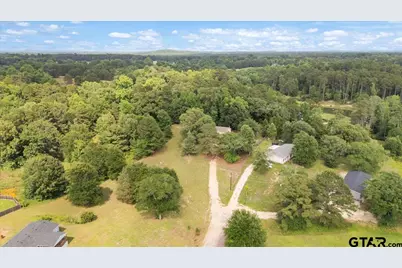 105 Pepper Circle, Diana, TX 75640 - Photo 44