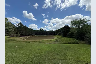 3901 Almond Rd, Big Sandy, TX 75755 - Photo 18
