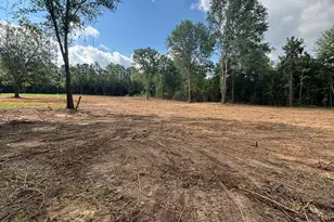 Tbd Fm 345 Lot 2, Arp, TX 75750 - Photo 1