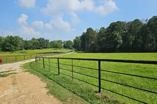 893 FM 1519, Pittsburg, TX 75686 - Photo 26