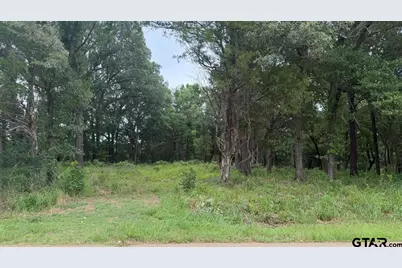 13676 County Road 420, Tyler, TX 75704 - Photo 1