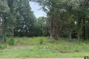 13676 County Rd 420, Tyler, TX 75704 - Photo 1