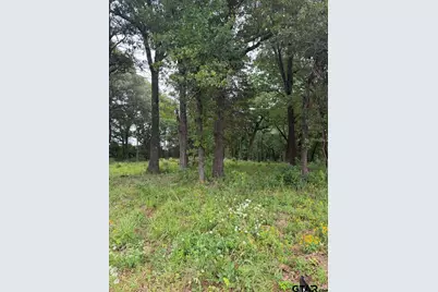 13676 County Road 420, Tyler, TX 75704 - Photo 2