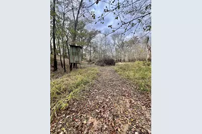 15308 W Fm 321, Tennessee Colony, TX 75861 - Photo 18
