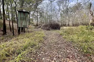 15308 W Fm 321, Tennessee Colony, TX 75861 - Photo 18