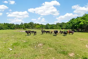 8460 Fm 322, Palestine, TX 75801 - Photo 36