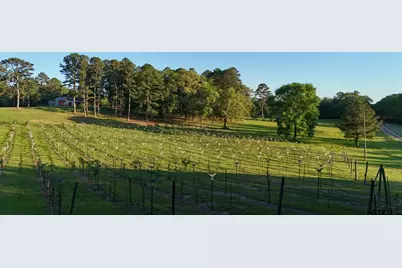 000 County Road 2680, Hawkins, TX 75765 - Photo 24