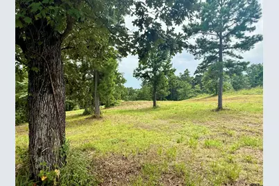 16121 W Valley View Ct, Winona, TX 75792 - Photo 6