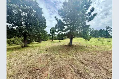 16121 W Valley View Ct, Winona, TX 75792 - Photo 4