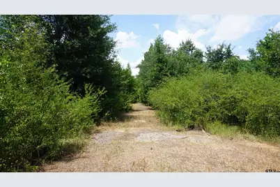 Tbd Private Road 7907, Hawkins, TX 75765 - Photo 12