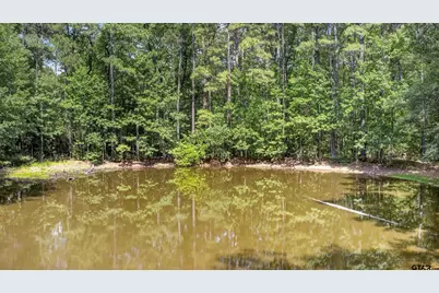 540 Cr 4677, Kennard, TX 75847 - Photo 4