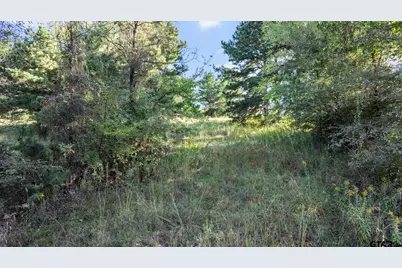 17218 Stella Maris St., Winona, TX 75792 - Photo 14