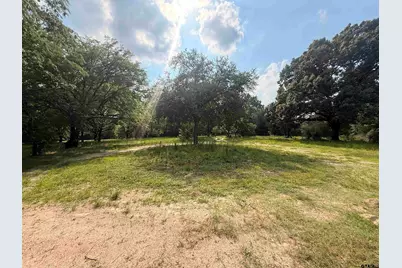 2721 Vz County Road 4707, Ben Wheeler, TX 75754 - Photo 16