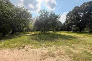 2721 Vz County Rd 4707, Ben Wheeler, TX 75754 - Photo 16