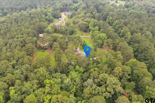 20994 State Hwy 110 N, Troup, TX 75789 - Photo 8