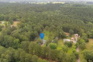20994 State Hwy 110 N, Troup, TX 75789 - Photo 4
