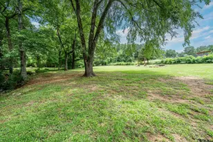 1500 Cr 4120, Jacksonville, TX 75766 - Photo 32