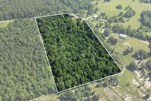 2068 Co Rd 4580, Winnsboro, TX 75494 - Photo 30