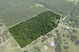 2068 Co Rd 4580, Winnsboro, TX 75494 - Photo 2