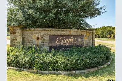 100 Elm Tree Cir, Bullard, TX 75757 - Photo 32