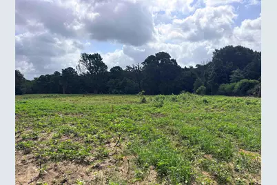 10268 N Fm 607, Brownsboro, TX 75756 - Photo 4