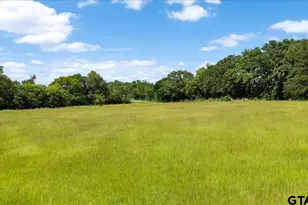 460 Co Rd 4612, Troup, TX 75789 - Photo 34