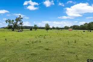 460 Co Rd 4612, Troup, TX 75789 - Photo 46