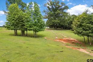 460 Co Rd 4612, Troup, TX 75789 - Photo 42