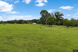 460 Co Rd 4612, Troup, TX 75789 - Photo 28