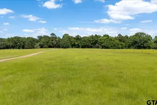 460 Co Rd 4612, Troup, TX 75789 - Photo 30