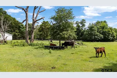 460 County Road 4612, Troup, TX 75789 - Photo 38