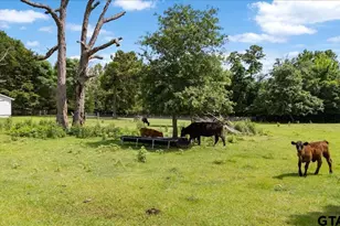 460 Co Rd 4612, Troup, TX 75789 - Photo 38