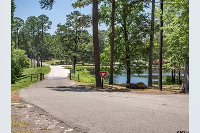 178 Butternut Glen, Holly Lake Ranch, TX 75765 - Photo 36