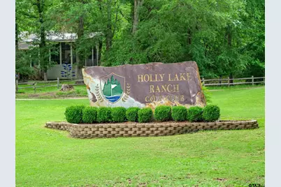 178 Butternut Glen, Holly Lake Ranch, TX 75765 - Photo 38