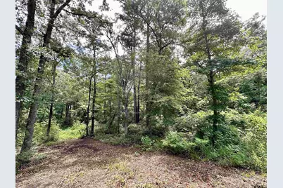 3156 Shadow Pine Dr., LaRue, TX 75770 - Photo 4