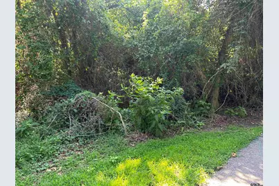 0 Lookout Lake Circle, Flint, TX 75762 - Photo 2