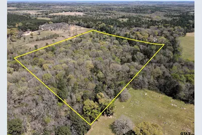 Tbd Cr 4501, Jacksonville, TX 75766 - Photo 2