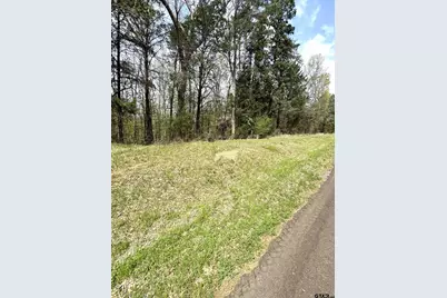 Tbd Cr 4501, Jacksonville, TX 75766 - Photo 10