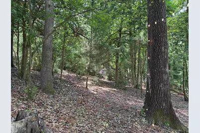 289 Llano Bend, Holly Lake Ranch, TX 75765 - Photo 22