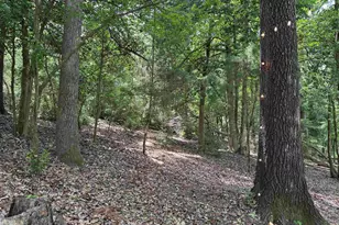289 Llano Bend, Holly Lake Ranch, TX 75765 - Photo 22