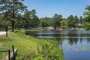 289 Llano Bend, Holly Lake Ranch, TX 75765 - Photo 28