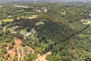 704 W Ross, Troup, TX 75789 - Photo 44